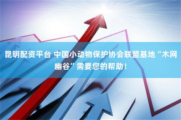 昆明配资平台 中国小动物保护协会联盟基地“木网幽谷”需要您的帮助！