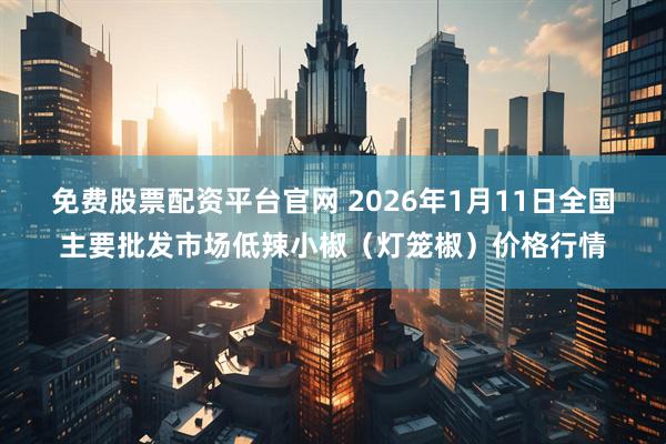 免费股票配资平台官网 2026年1月11日全国主要批发市场低辣小椒（灯笼椒）价格行情